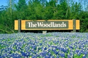 the woodlands sign in texas